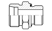 Hydraulic Fluid Power Connection Winner 24° Cone Connectors/Adapters