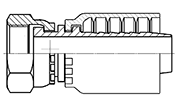 Hydraulic Fluid Power Winner Brand One Piece Hose Fittings – Standard