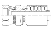 Hydraulic Fluid Power Winner Brand One Piece Hose Fittings – Standard