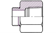 Hydraulic Fluid Power Connection Winner BSPT  Connectors / Adapters