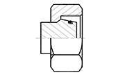 Hydraulic Fluid Power Connection Winner 24° Cone Connectors/Adapters