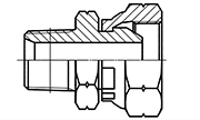 Hydraulic Fluid Power Connection Winner 60° Cone  Connectors / Adapters – BSP Thread