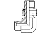 Hydraulic Fluid Power Connection Winner 60° Cone  Connectors / Adapters – BSP Thread