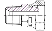 Hydraulic Fluid Power Connection Winner 60° Cone  Connectors / Adapters – BSP Thread