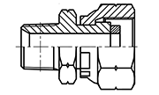 Hydraulic Fluid Power Connection Winner BSPT  Connectors / Adapters